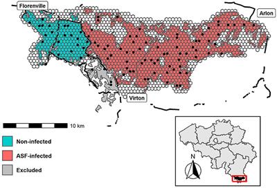 Managing African Swine Fever: Assessing the Potential of Camera Traps in Monitoring Wild Boar Occupancy Trends in Infected and Non-infected Zones, Using Spatio-Temporal Statistical Models